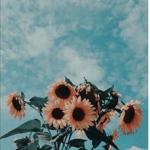 Meet your Posher, Naadia